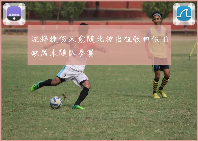 沈梓捷伤未愈随北控出征张帆依旧缺席未随队参赛